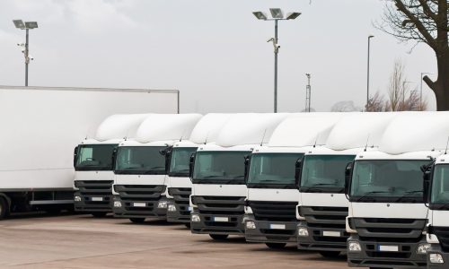 Fleet of white lorries lined up.